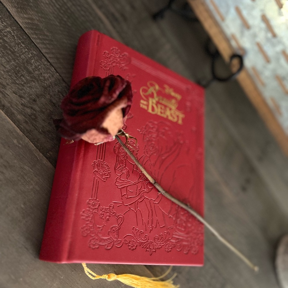 Disney Beauty And The Beast Hardcover Journal - image 1